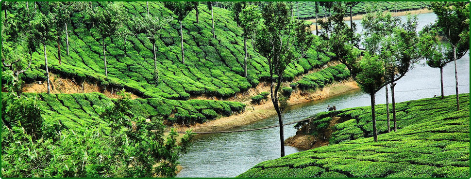 munnar tourist places