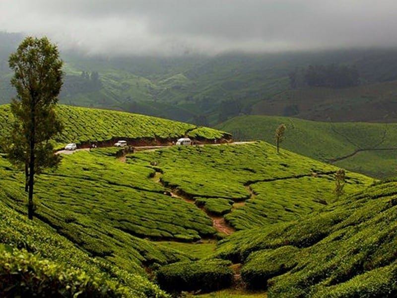 Top 10 Munnar Honeymoon Tourist Places to Visit: A Complete Guide for Couples