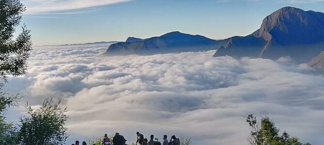 munnar places to visit in kerala